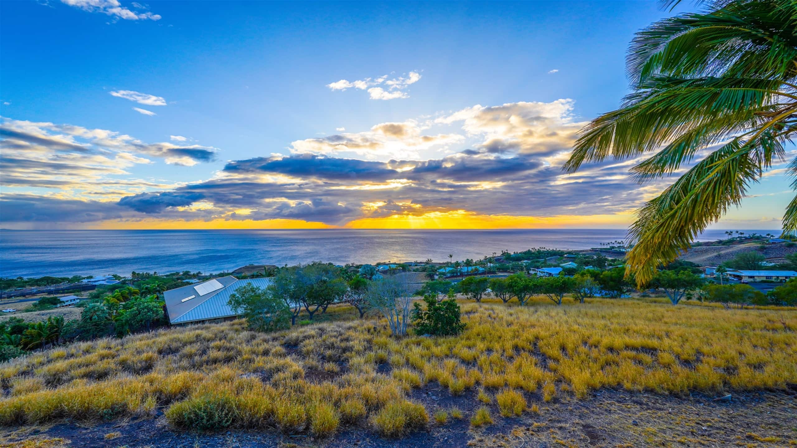Home in Waimea · ★4.92 · 4 bedrooms · 5 beds · 3 baths - Image 80
