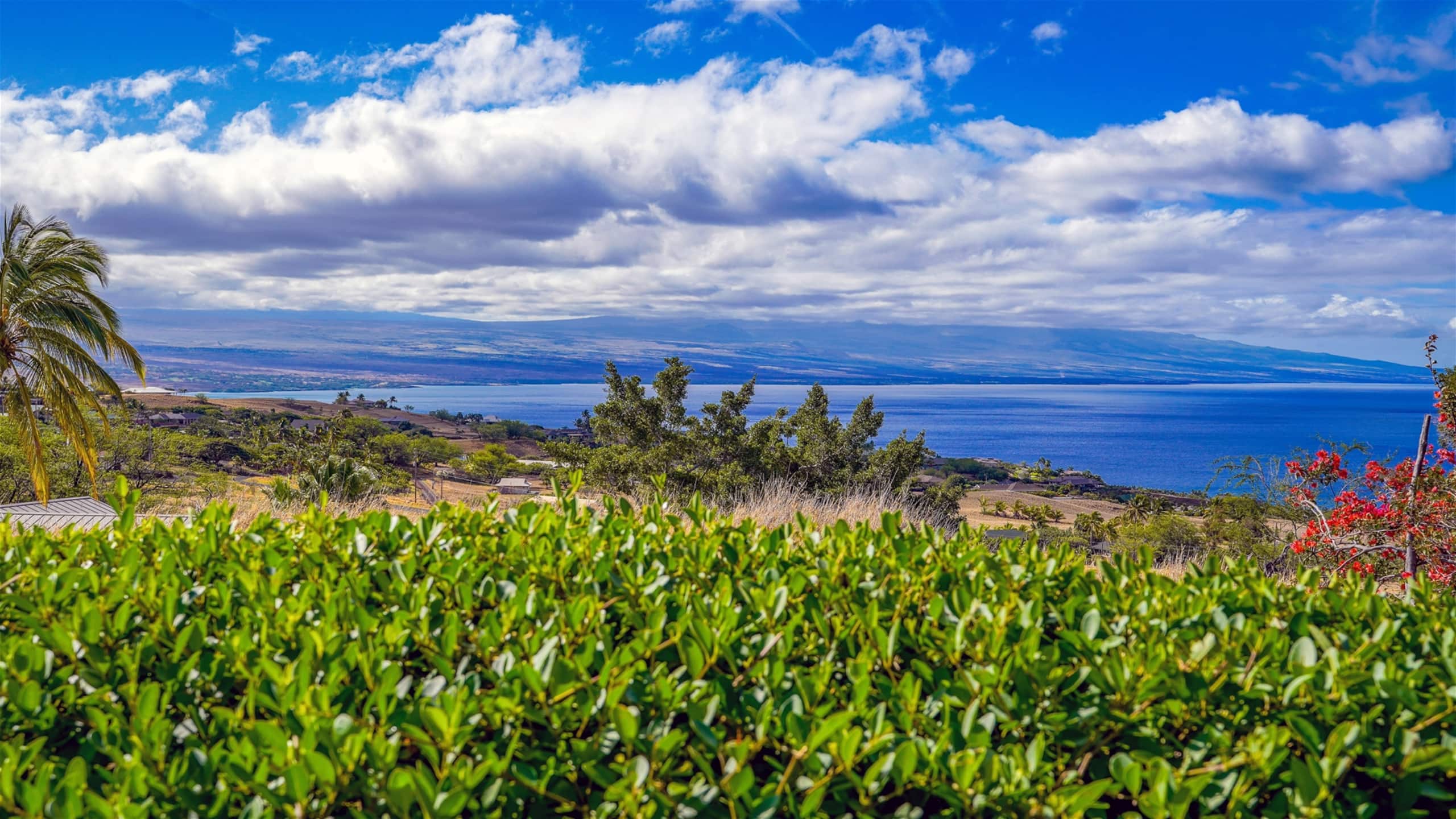 Home in Waimea · ★4.92 · 4 bedrooms · 5 beds · 3 baths - Image 53