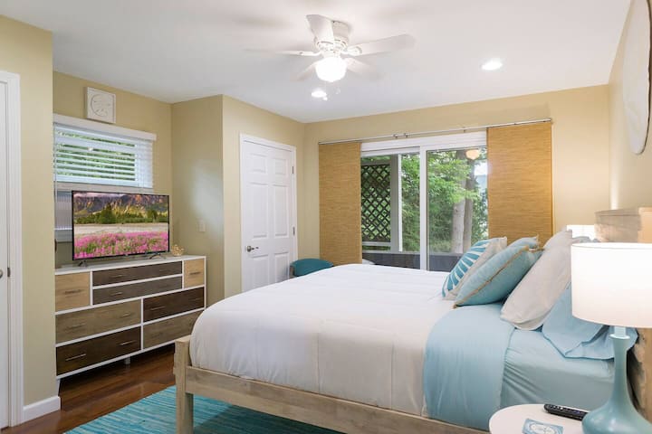 SAND DOLLAR BDR