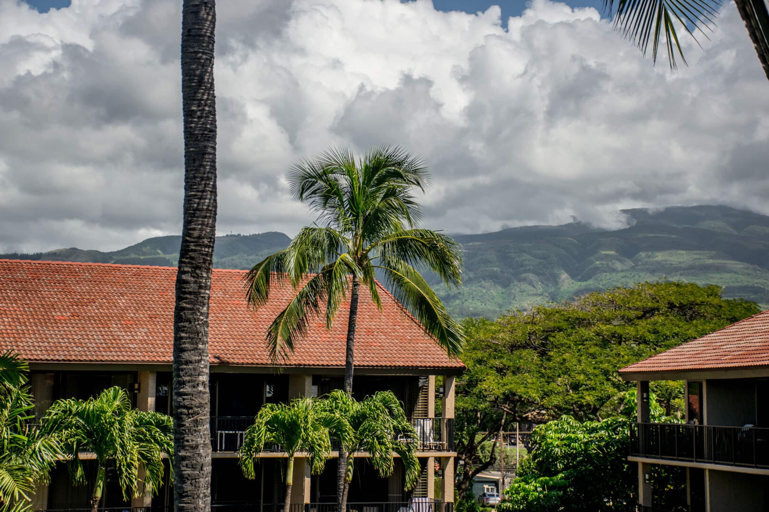 Condo in Lahaina · ★4.52 · 3 bedrooms · 4 beds · 3 private baths - Image 23