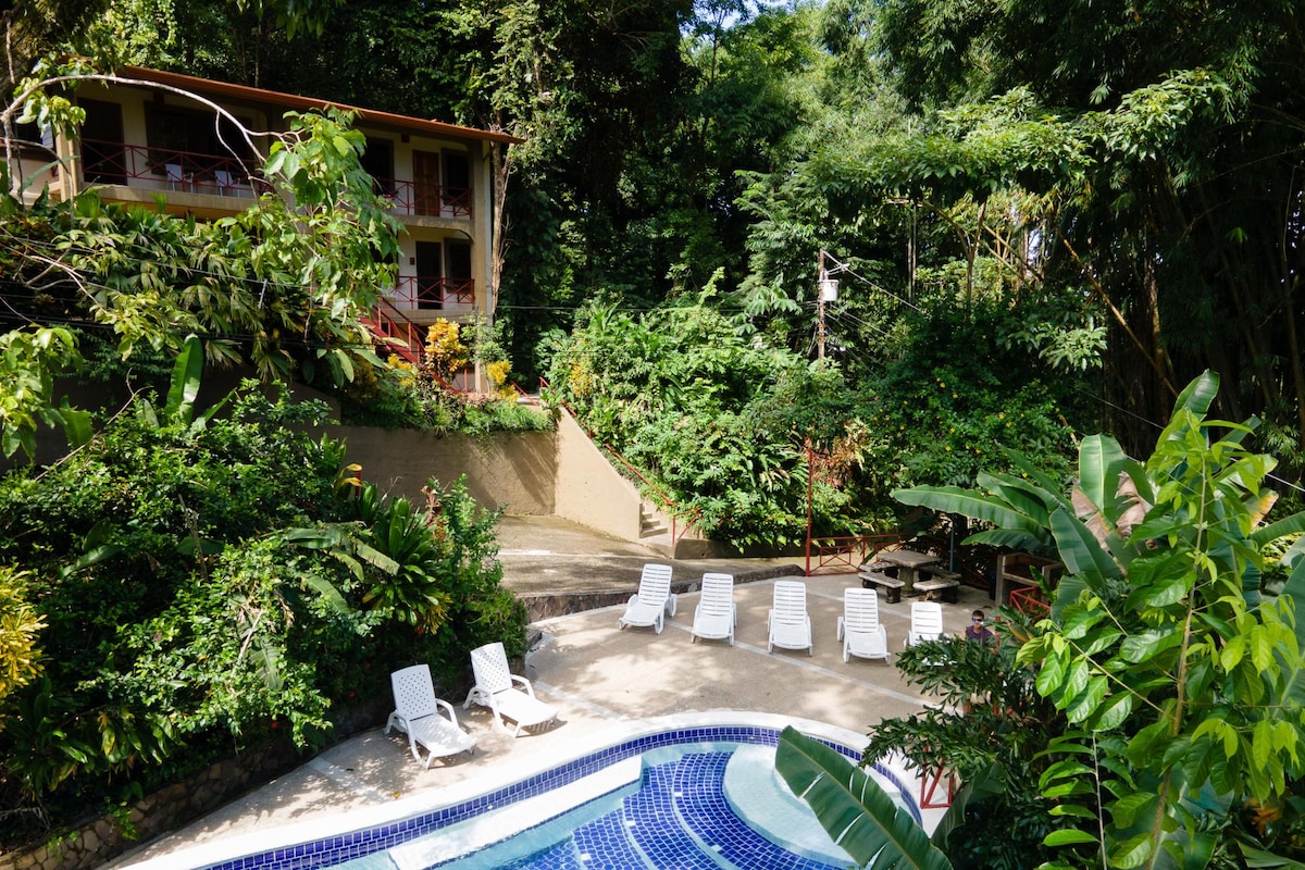 A tranquil outdoor area features a large blue pool surrounded by lounge chairs. Lush greenery frames the space, with two-story buildings visible in the background, showcasing red railings and balconies. A communal BBQ area is included for guests to enjoy.