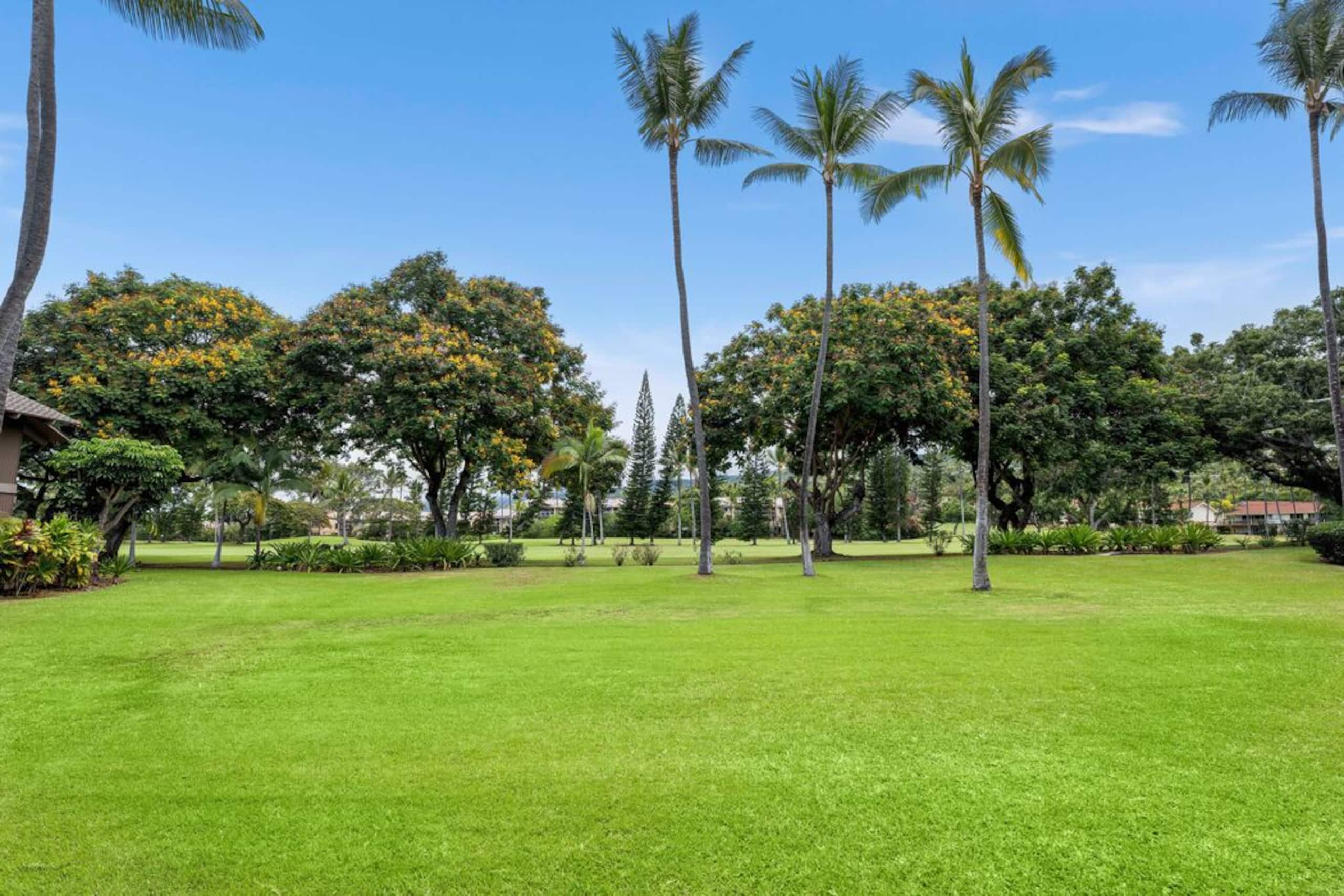 Condo in Kailua-Kona · ★4.93 · 2 bedrooms · 2 beds · 2 baths - Image 3