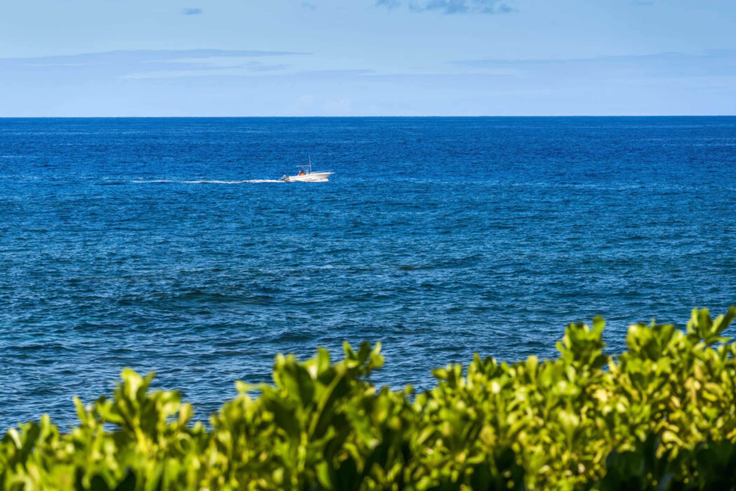 Condo in Kailua-Kona · ★4.93 · 2 bedrooms · 2 beds · 2 baths - Image 50