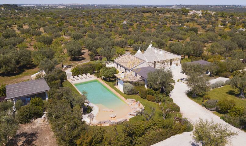 TD Trulli di Montaltino with Stunning Huge Pool gallery image 3