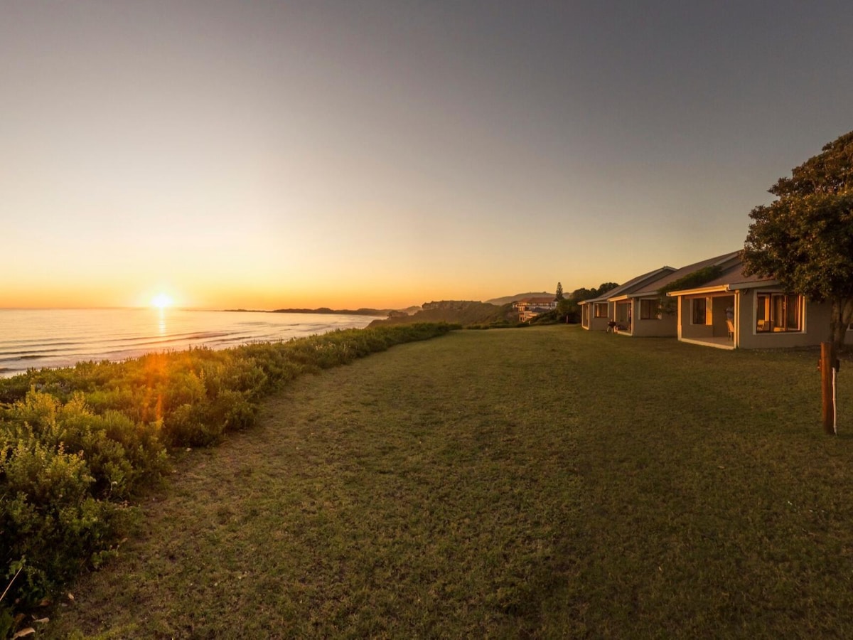 A serene beachfront view reveals a sprawling lawn leading to the ocean, with the sun rising along the horizon. The side of a modern building is visible, framed by coastal foliage that complements the landscape.