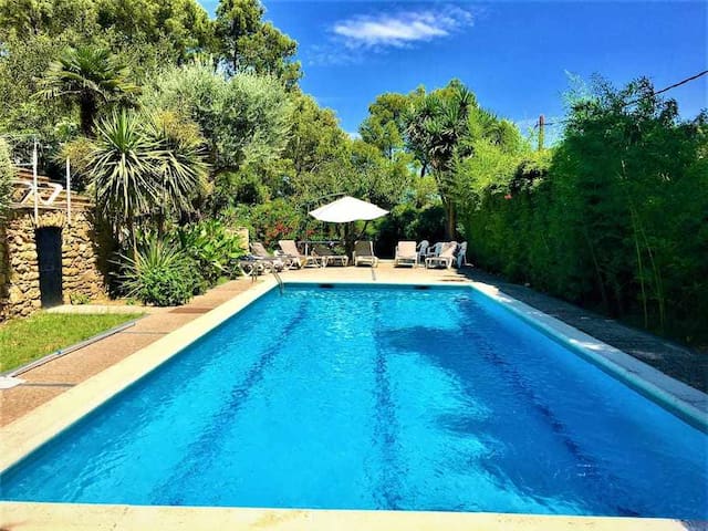 Luxurious house with huge private pool