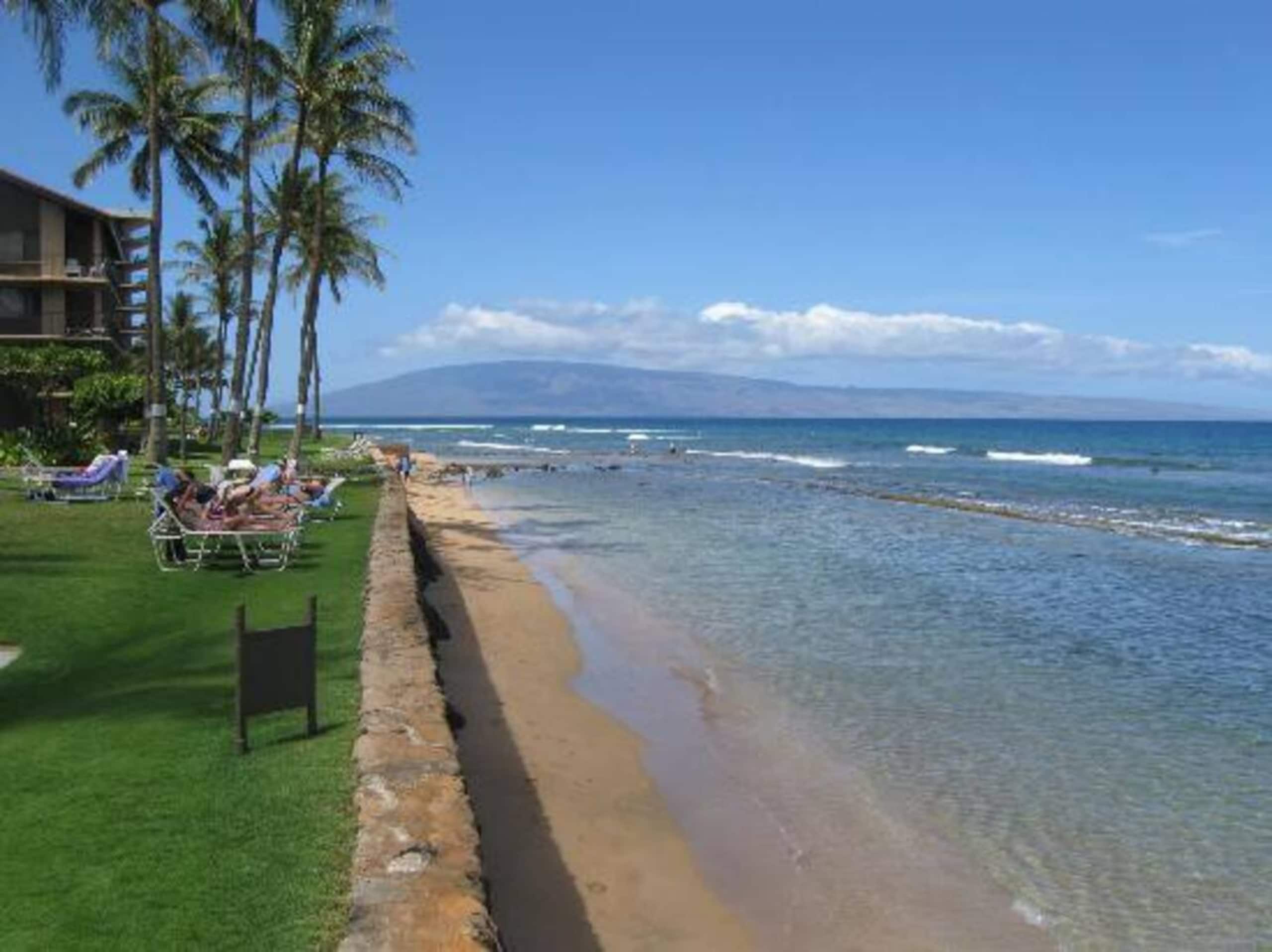 Condo in Lahaina · ★4.89 · 2 bedrooms · 4 beds · 1 private bath - Image 35