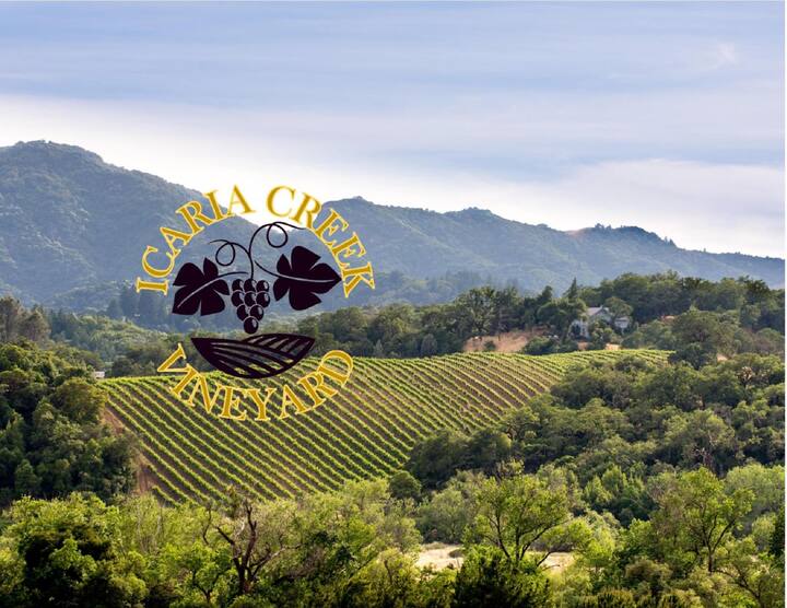 Cloverdale Cottage Rentals Cottages and More Airbnb