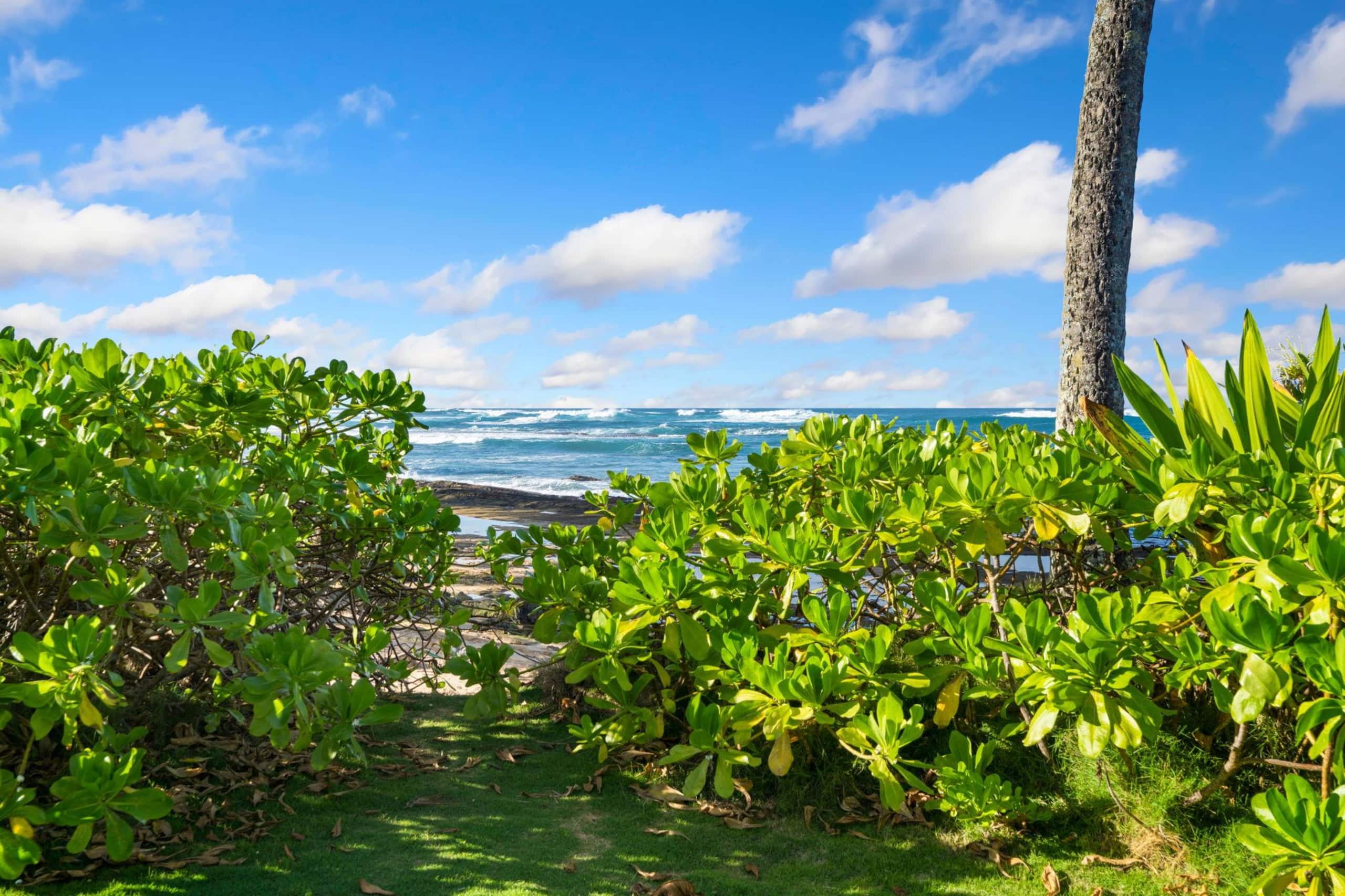 Home in Wainiha · ★4.88 · 4 bedrooms · 5 beds · 4 baths - Photo 54