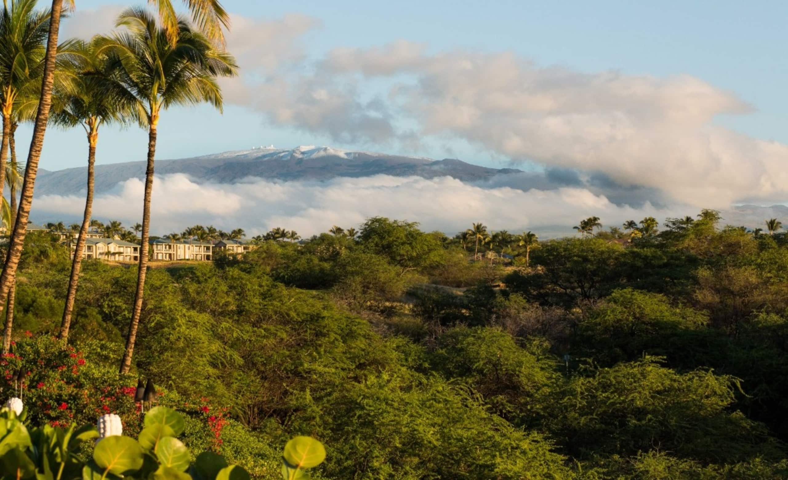 Home in Waimea · ★5.0 · 3 bedrooms · 6 beds · 3 baths - Image 25