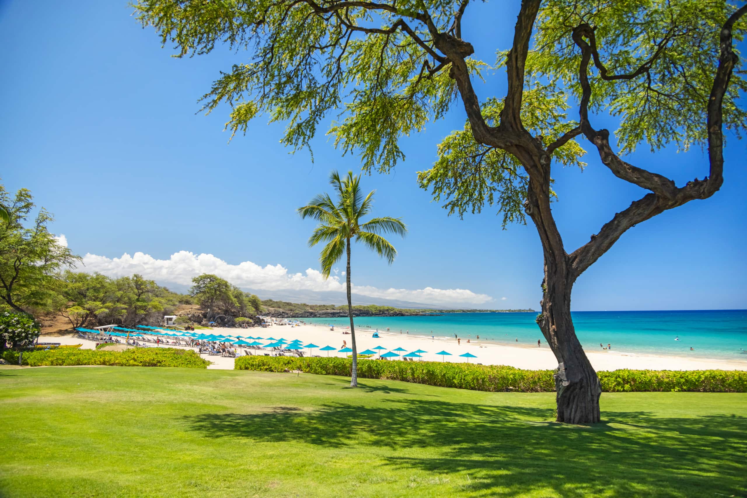 Home in Waimea · ★5.0 · 3 bedrooms · 6 beds · 3 baths - Image 46