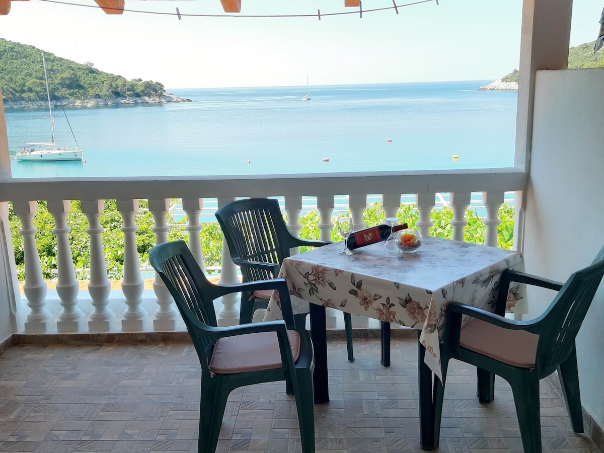 A terrace offers a stunning sea view, furnished with a table and four chairs. A tablecloth with floral patterns covers the table, which holds a bowl of fruit. The balcony railing is adorned with a series of drying clothes, enhancing the seaside ambiance.