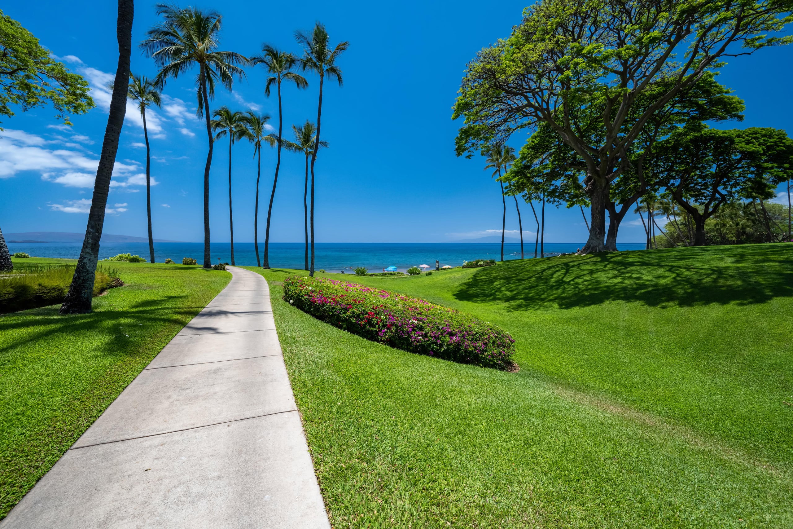 Condo in Kihei · ★4.89 · 2 bedrooms · 3 beds · 2 baths - Image 61