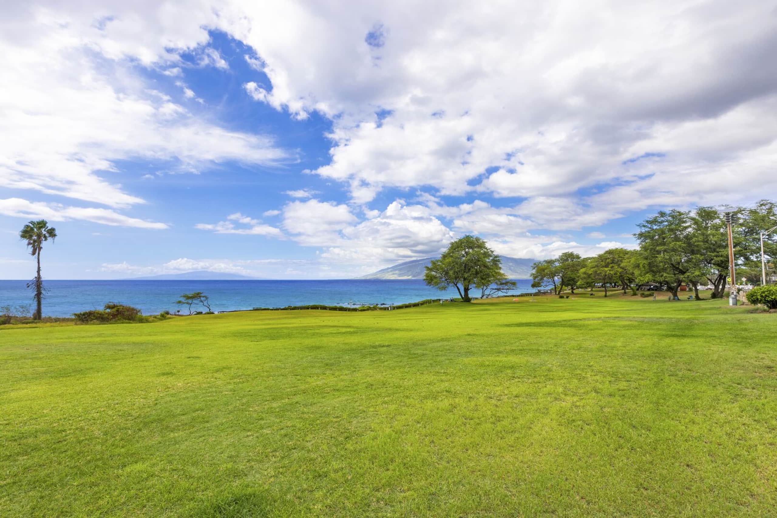 Condo in Kihei · ★4.73 · 1 bedroom · 3 beds · 1 bath - Image 28