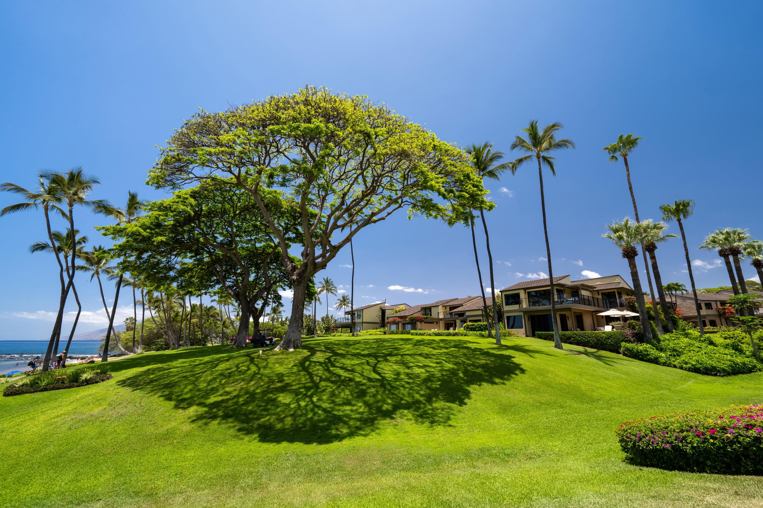 Condo in Kihei · ★4.94 · 2 bedrooms · 4 beds · 2 baths - Image 78
