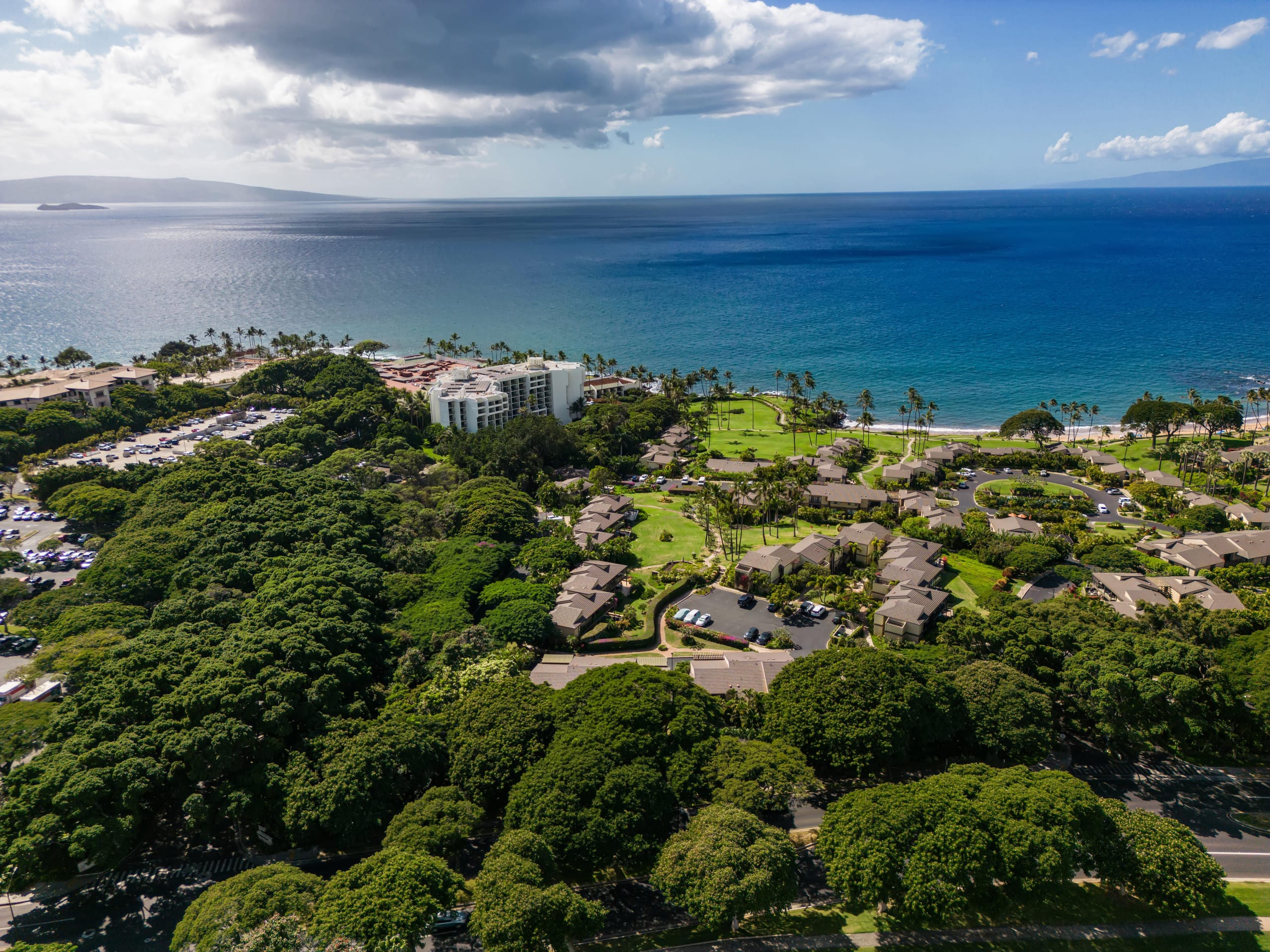 Condo in Kihei · ★4.94 · 2 bedrooms · 4 beds · 2 baths - Image 36