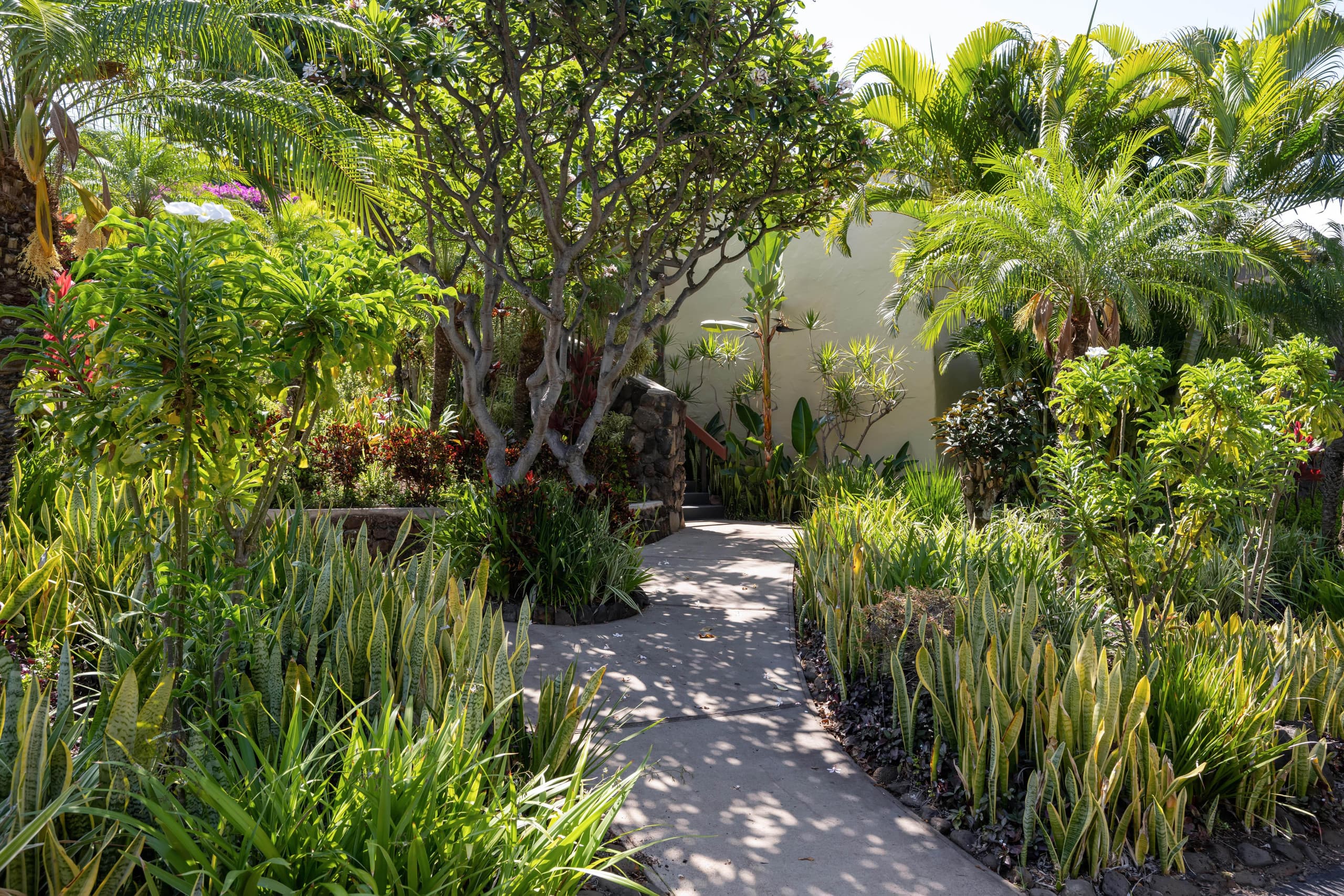 Condo in Kihei · ★4.94 · 2 bedrooms · 4 beds · 2 baths - Image 48