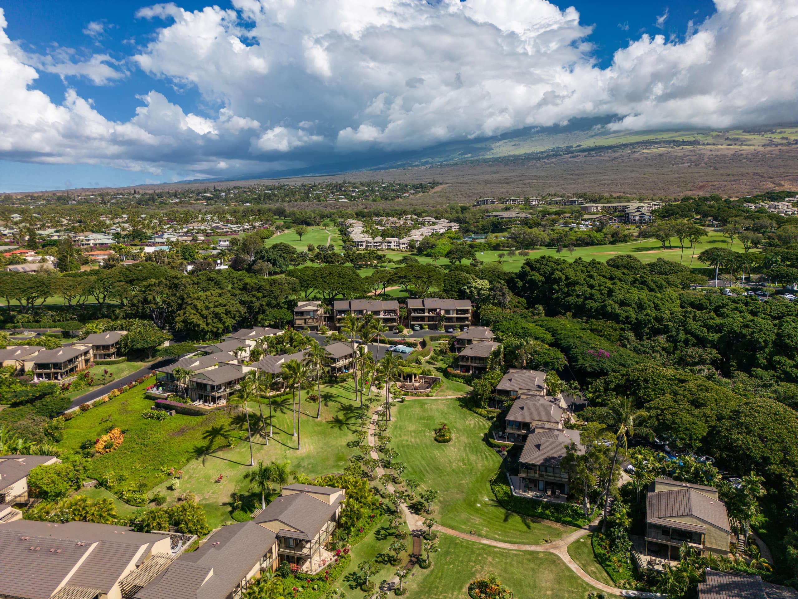 Condo in Kihei · ★4.94 · 2 bedrooms · 4 beds · 2 baths - Image 41
