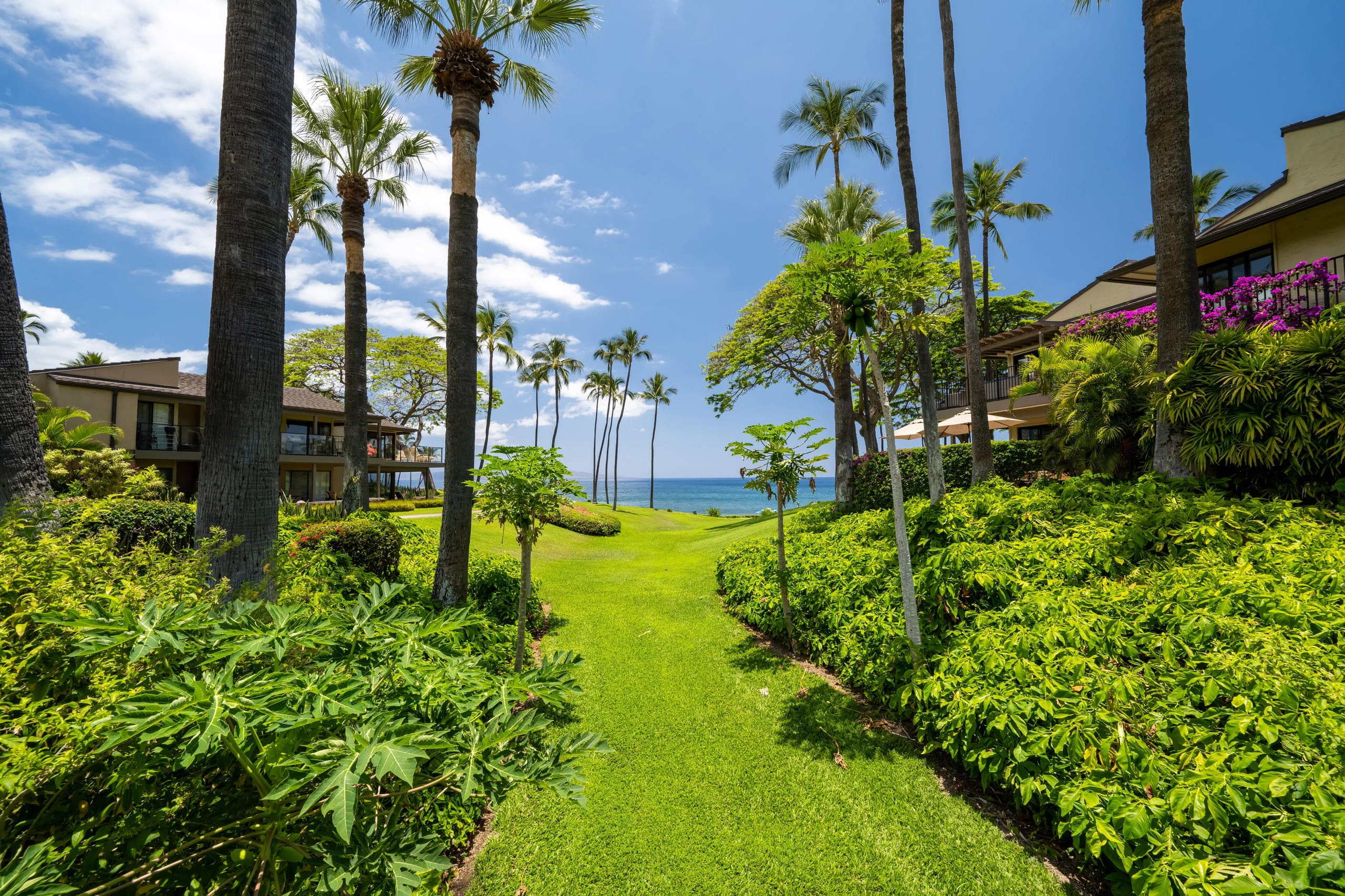 Condo in Kihei · ★4.94 · 2 bedrooms · 4 beds · 2 baths - Image 77