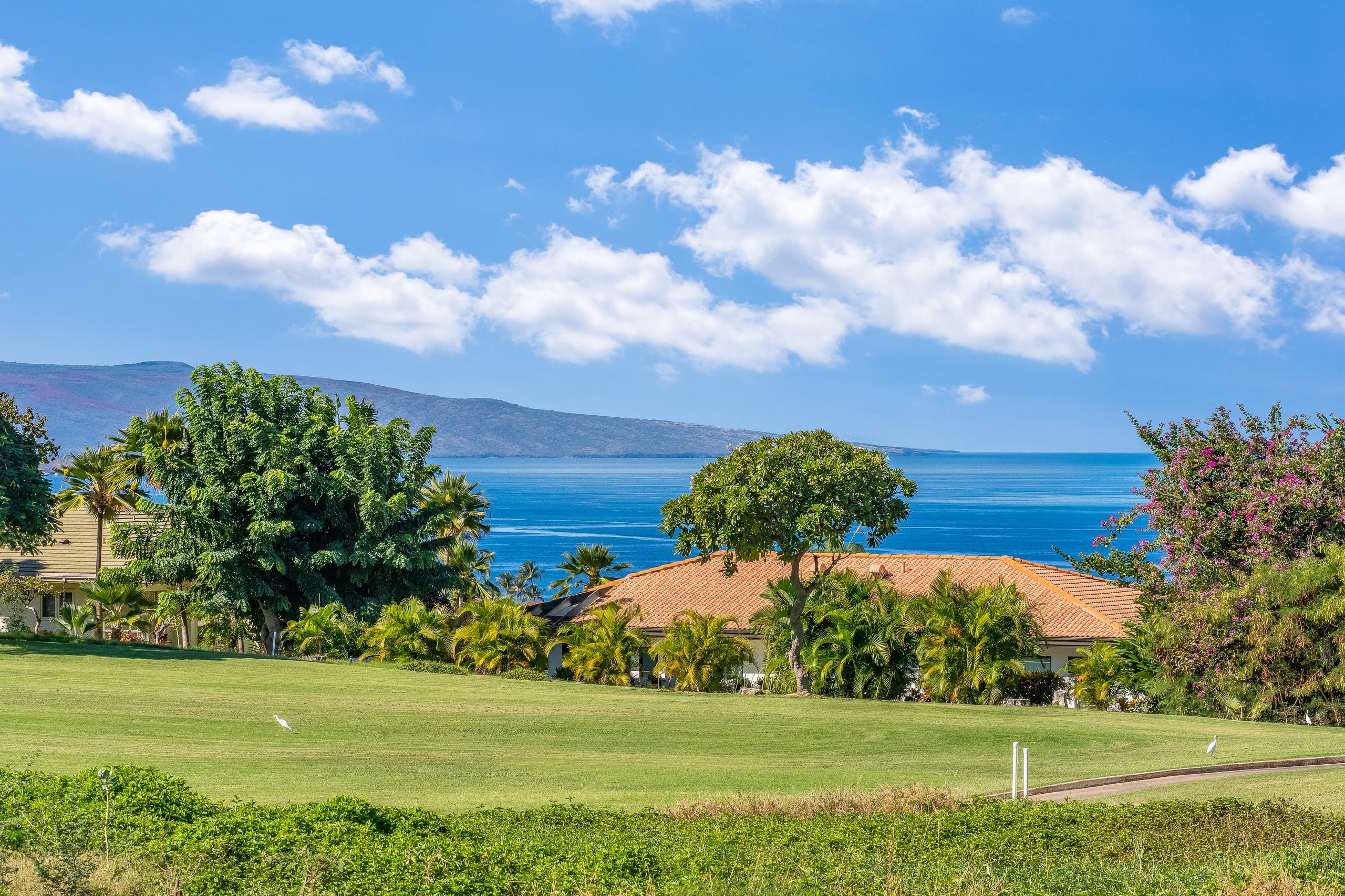 Condo in Kihei · ★4.38 · 2 bedrooms · 4 beds · 2 baths - Image 30