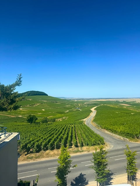 Gite le 555 – Champagne Voirin-Jumel