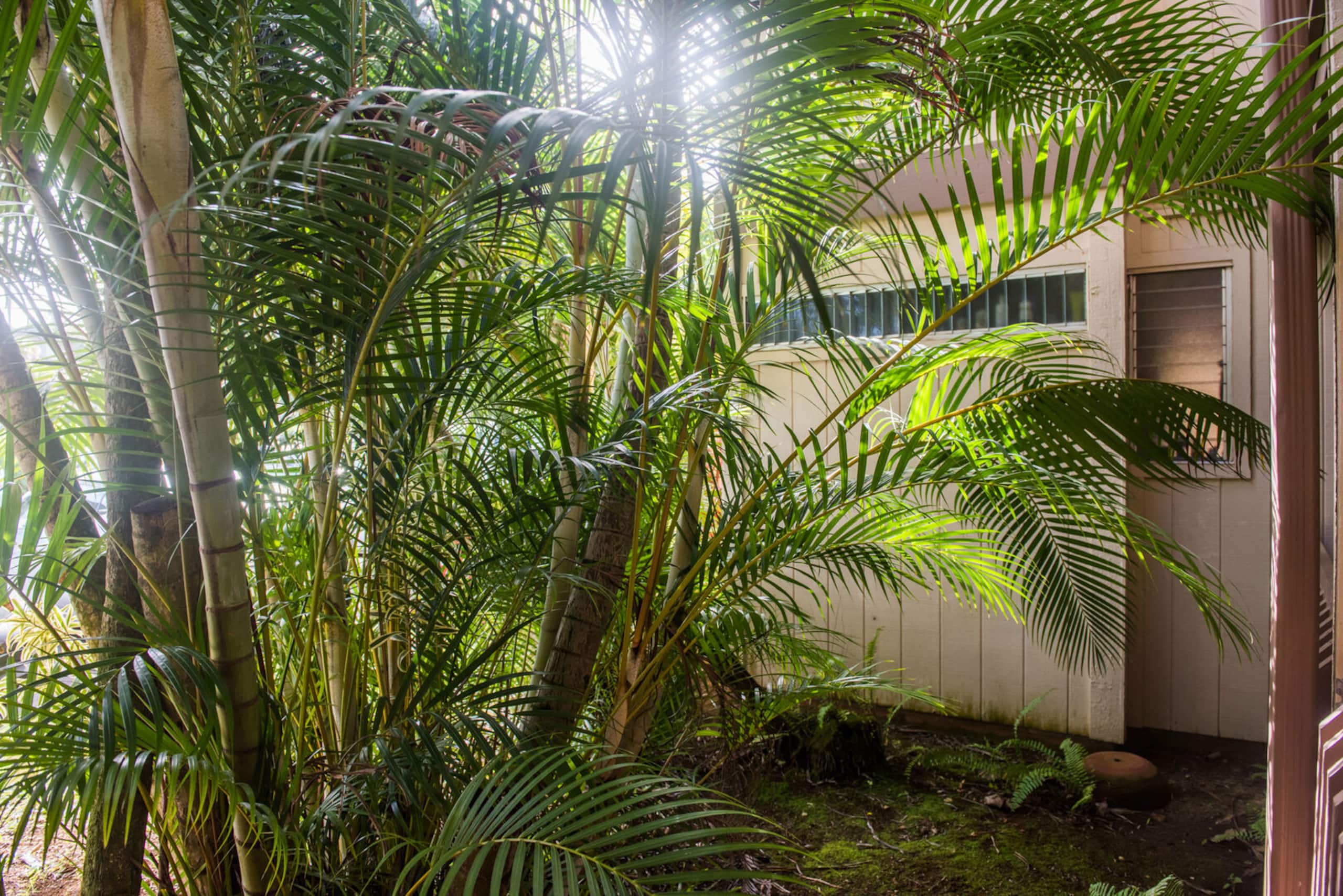 Princeville Sands Studio w/ Pool, Hot Tub #137B - Photo 8