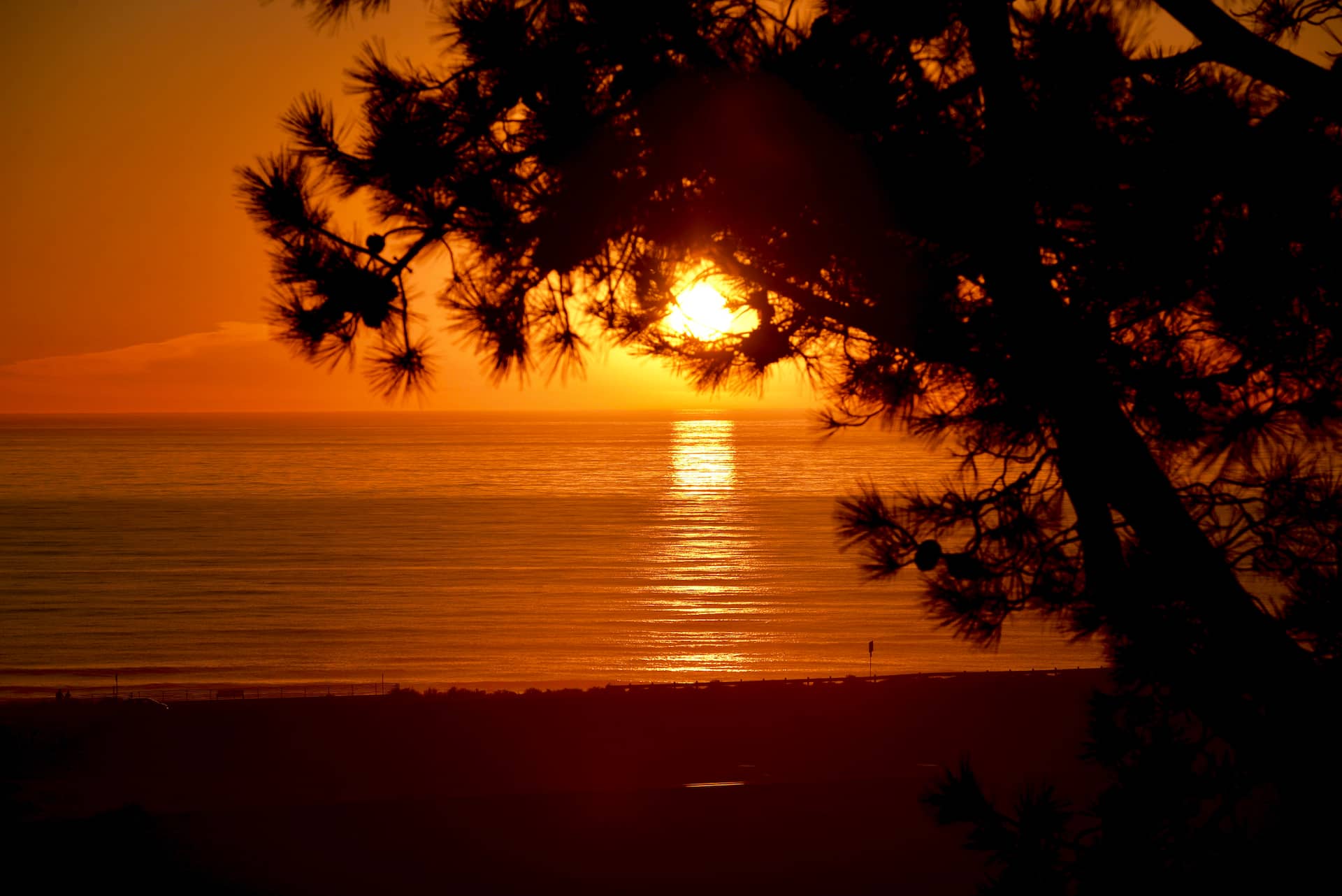 Del Mar Beach Getaway - Truly Outstanding