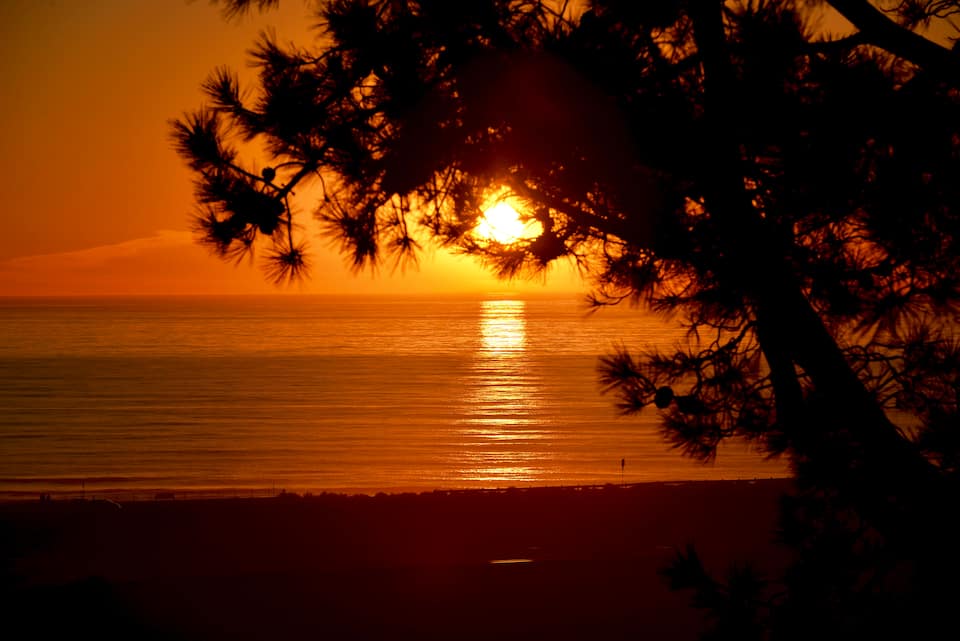 Del Mar Beach Getaway - Truly Outstanding — photo 1