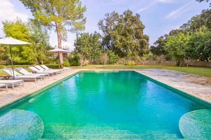 Cal Rei Gran gallery image 5