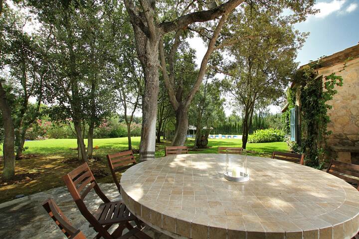 Eu Romani gallery image 3