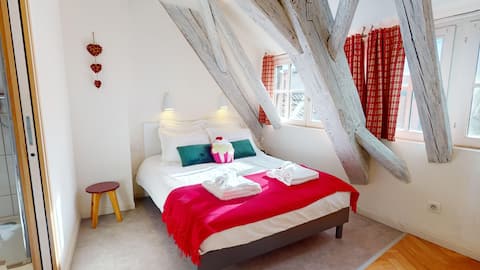 Duplex Le Coup de Coeur - Hypercentre