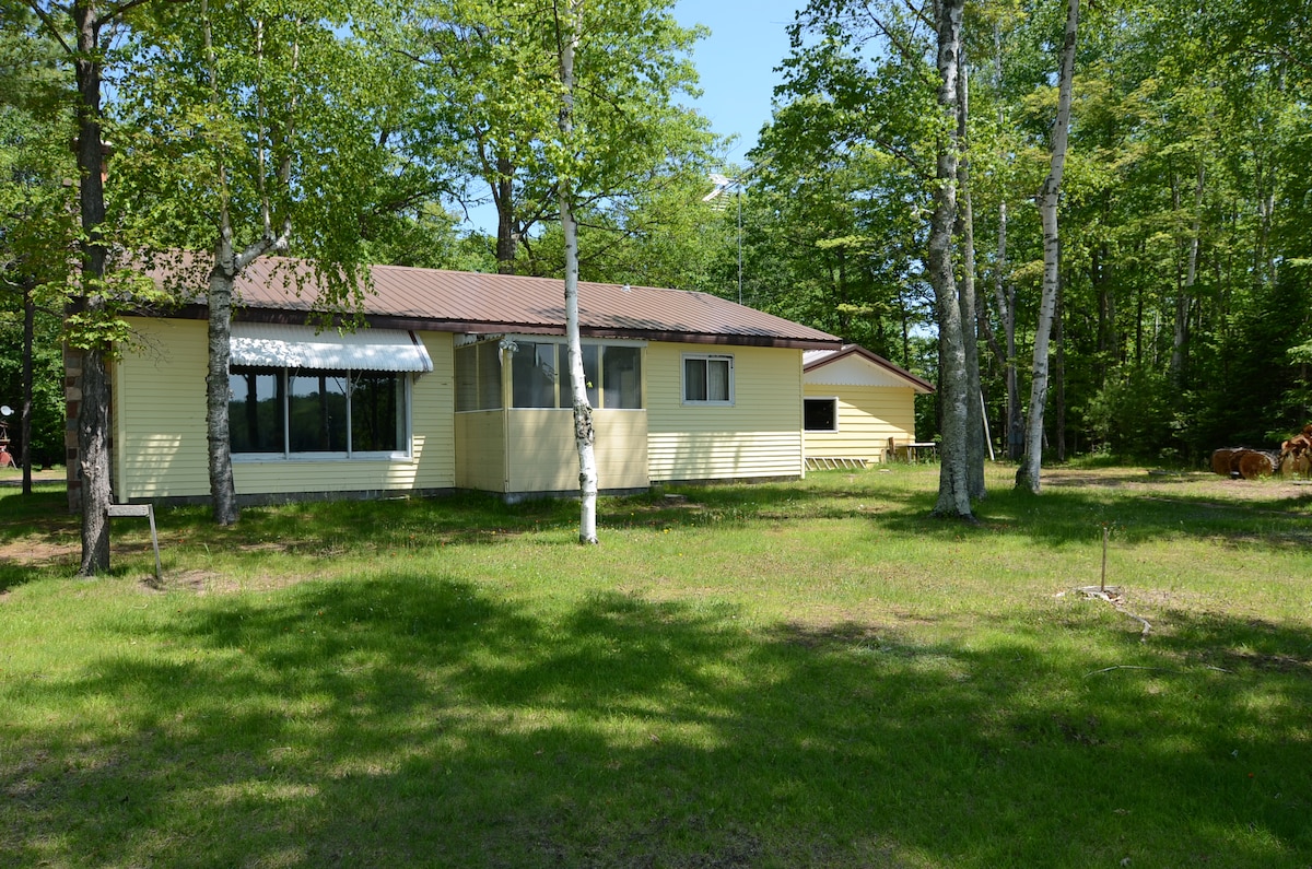 The exterior of the cabin is set amidst a grassy yard, shaded by trees. The structure features a combination of light yellow and tan siding, with several windows allowing natural light into the space. A metal roof complements the overall design.