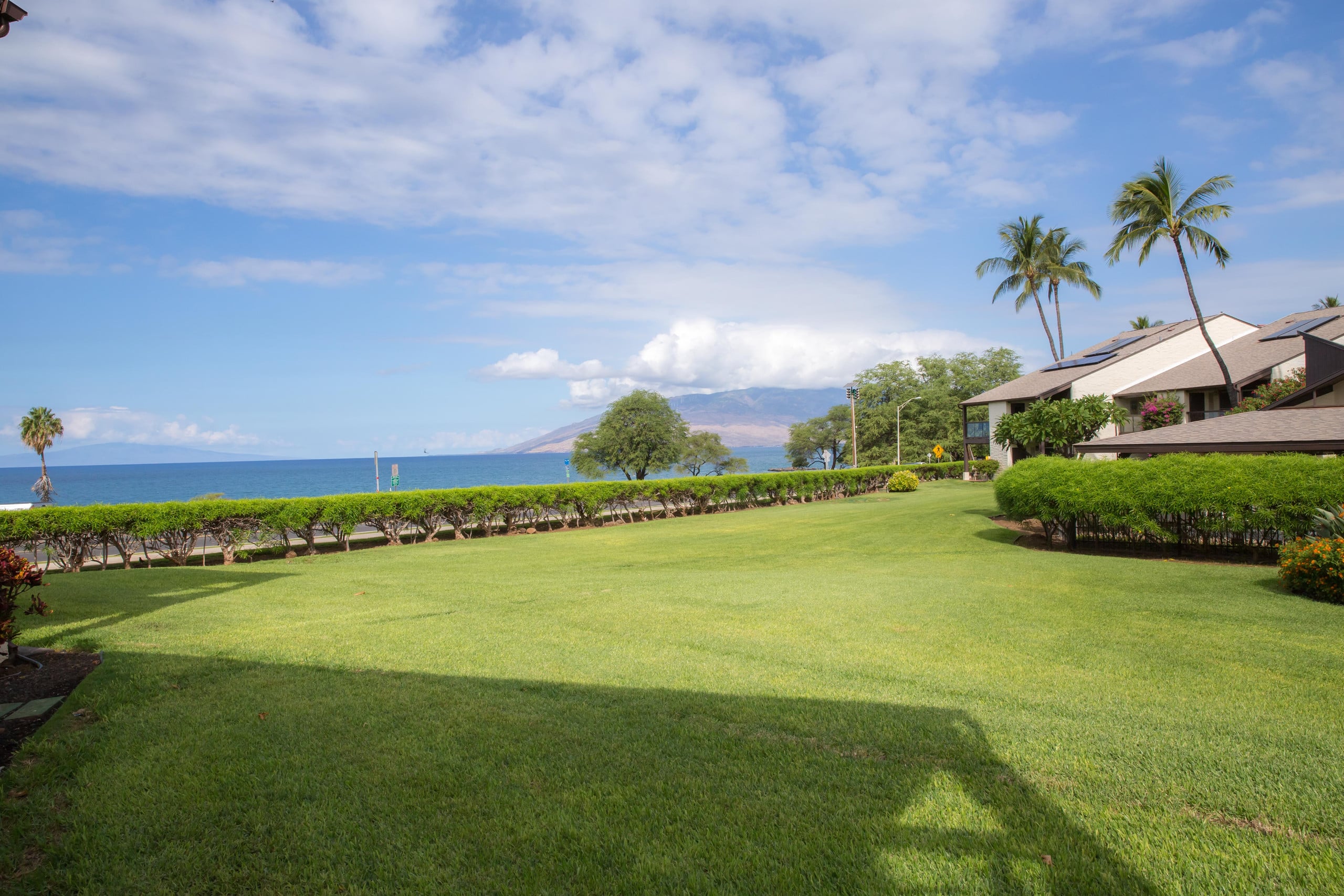 Condo in Kihei · ★4.96 · 1 bedroom · 1 bed · 1 bath - Image 20