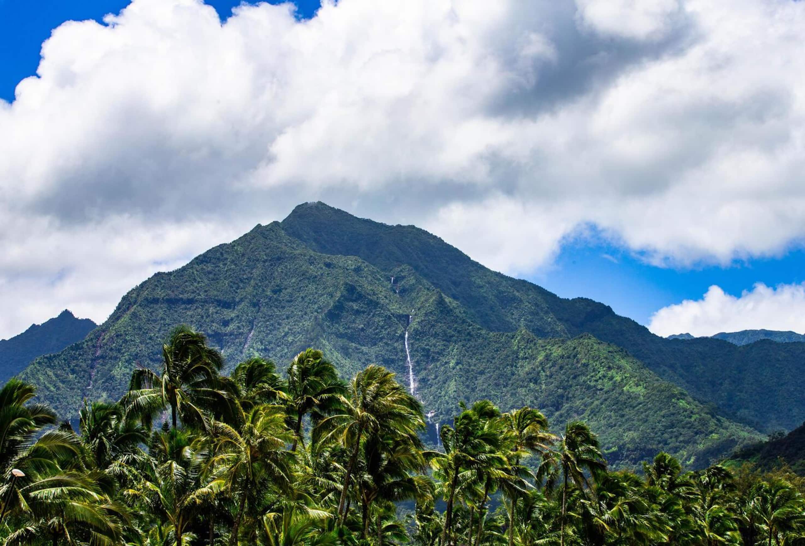 Home in Hanalei · ★4.64 · 2 bedrooms · 2 beds · 2 baths - Image 32