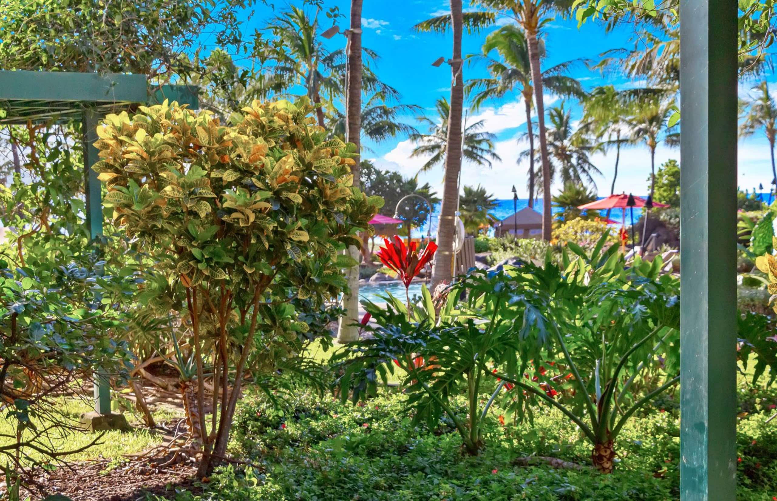 Condo in Lahaina · ★4.82 · 2 bedrooms · 4 beds · 2 shared baths - Image 7