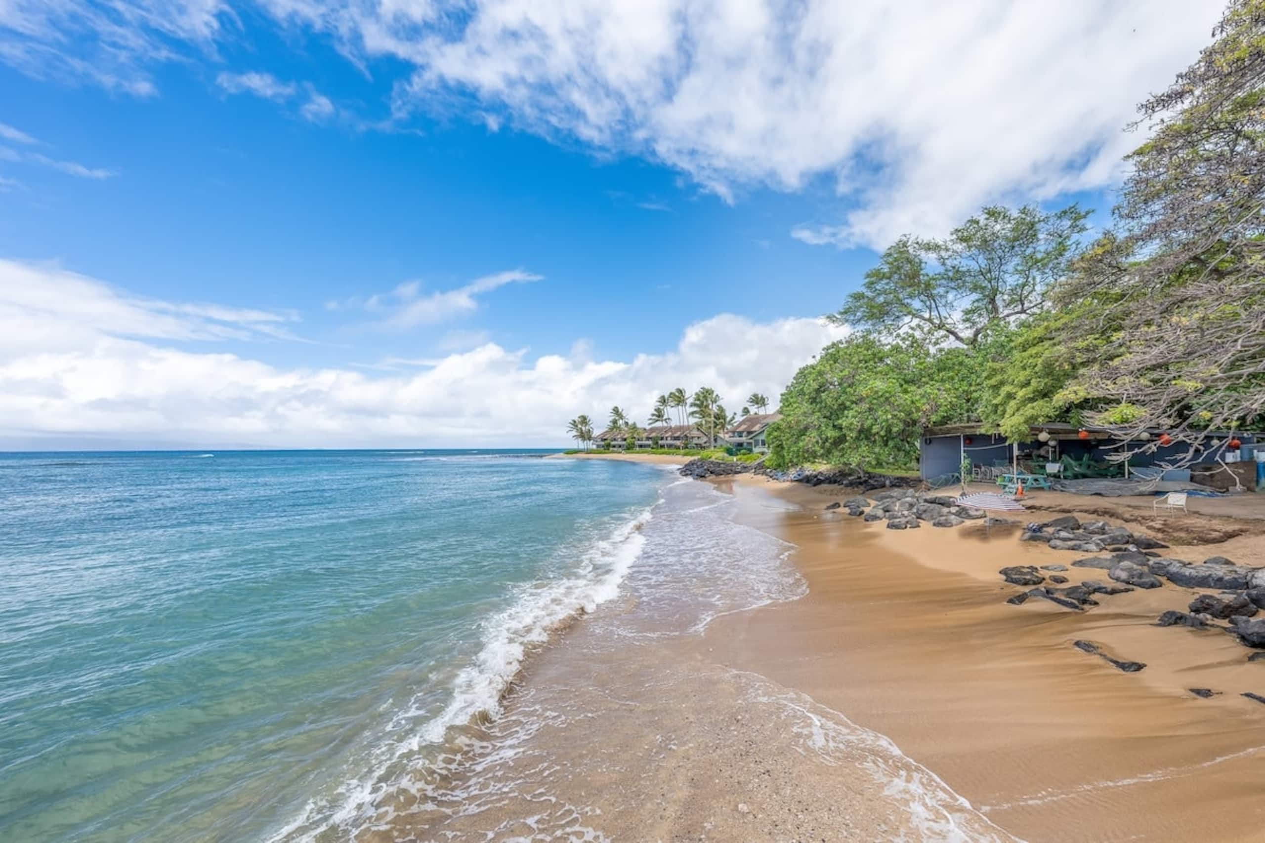 Condo in Lahaina · ★4.78 · 1 bedroom · 1 bed · 1 bath - Image 42