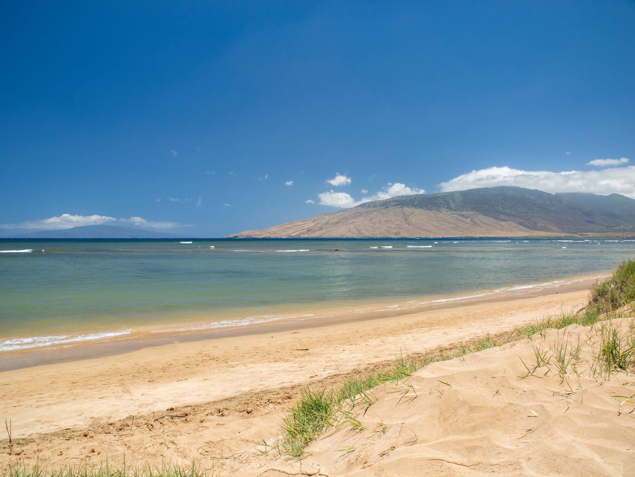 Condo in Kihei · ★5.0 · 1 bedroom · 2 beds · 1 bath - Image 30
