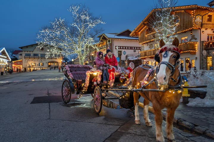 Das Tree Haus-Views, Hot Tub, WIFI, Dogs, ROKU - Cabins for Rent