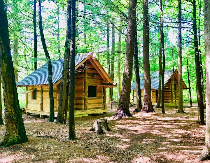 TimberTown Cabin 1 Cabins for Rent in West Sand Lake, New York
