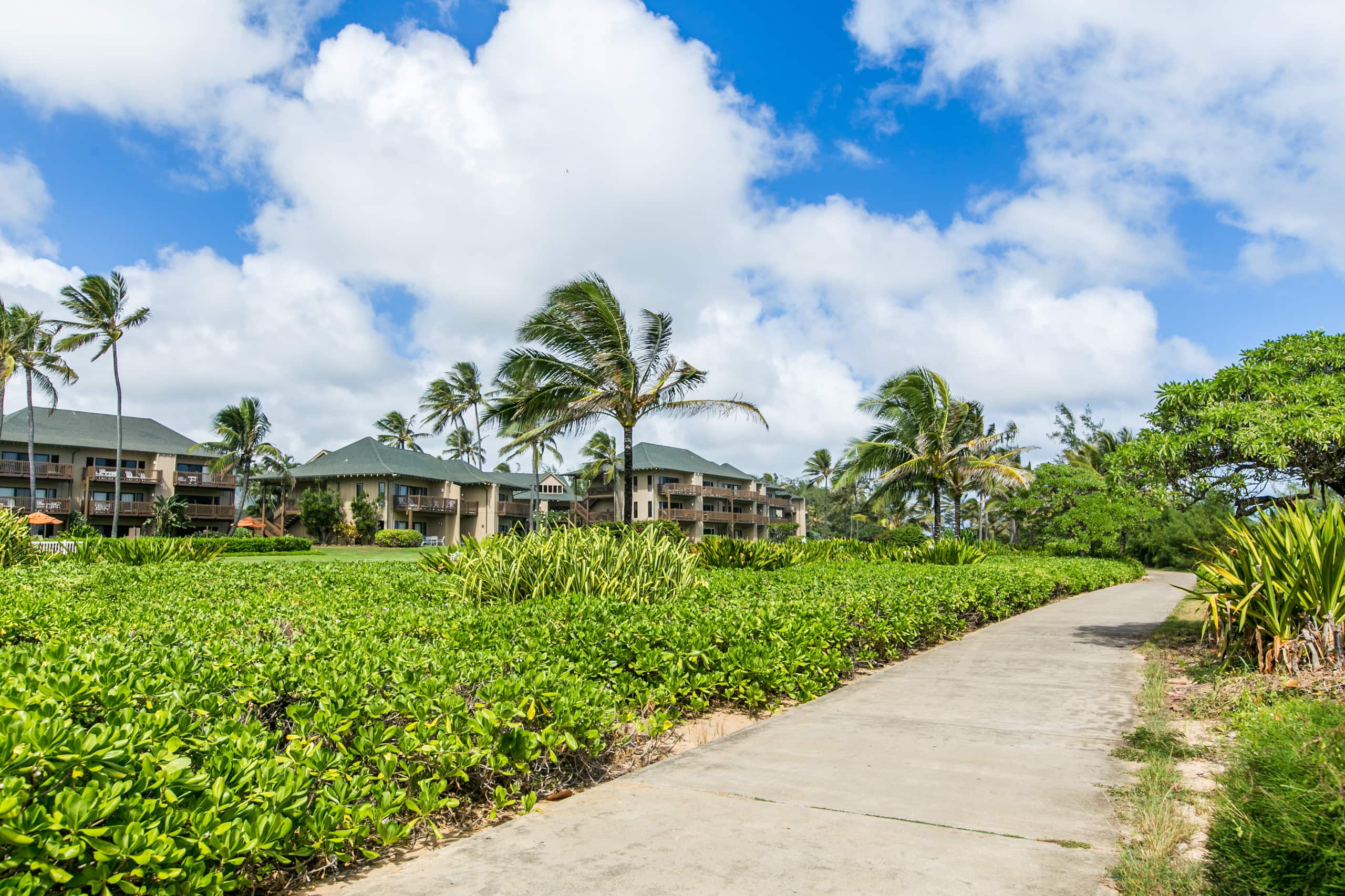 Kaha Lani 109, Ocean View, Walk to Beach - Photo 34