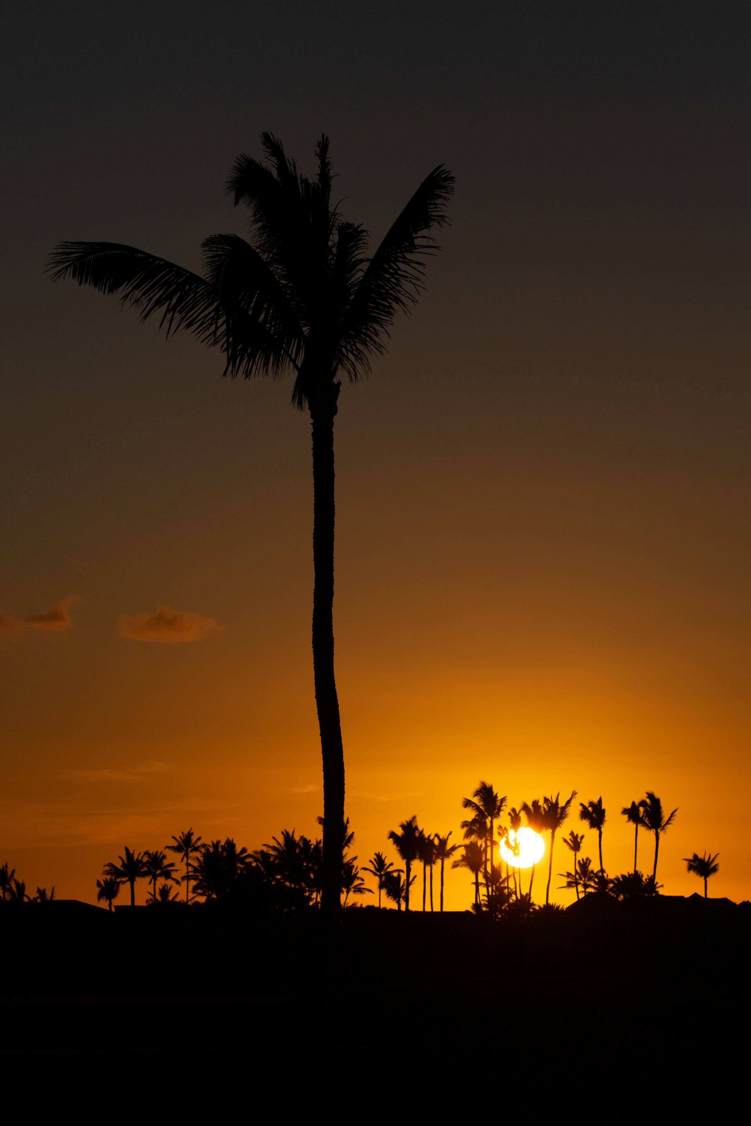 Home in Waimea · ★4.7 · 4 bedrooms · 5 beds · 4.5 baths - Image 42
