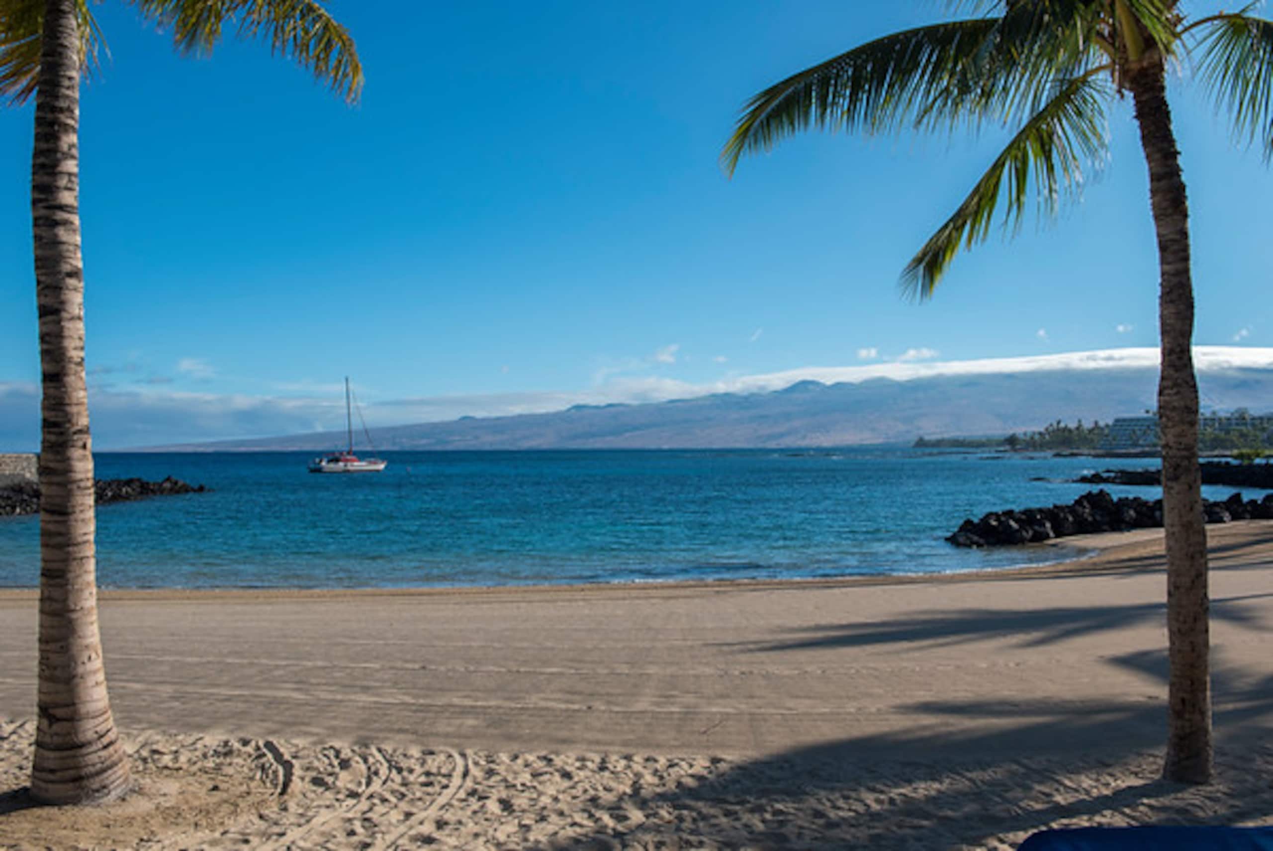Home in Waimea · ★4.7 · 4 bedrooms · 5 beds · 4.5 baths - Image 44