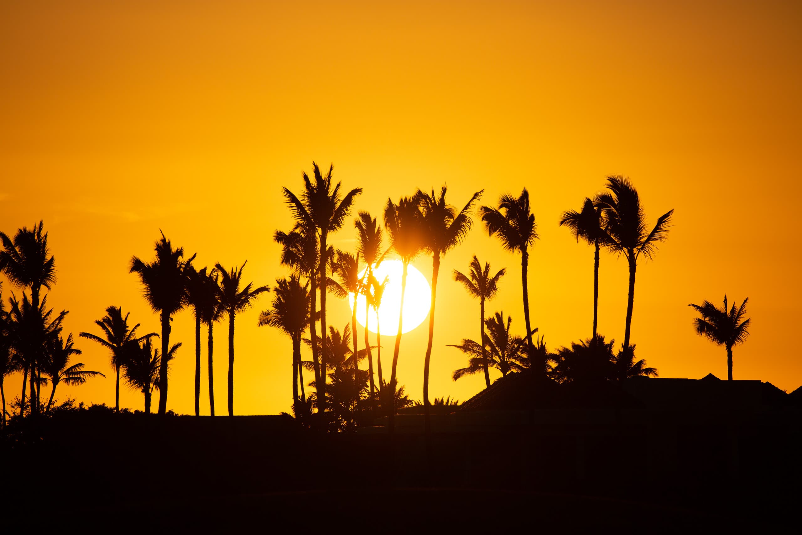 Home in Waimea · ★4.7 · 4 bedrooms · 5 beds · 4.5 baths - Image 41