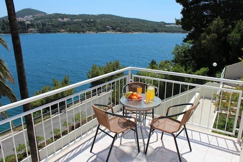 Top performing Airbnb: Apartments Lozica - Standard Studio Apartment with Terrace and Sea View in Lozica