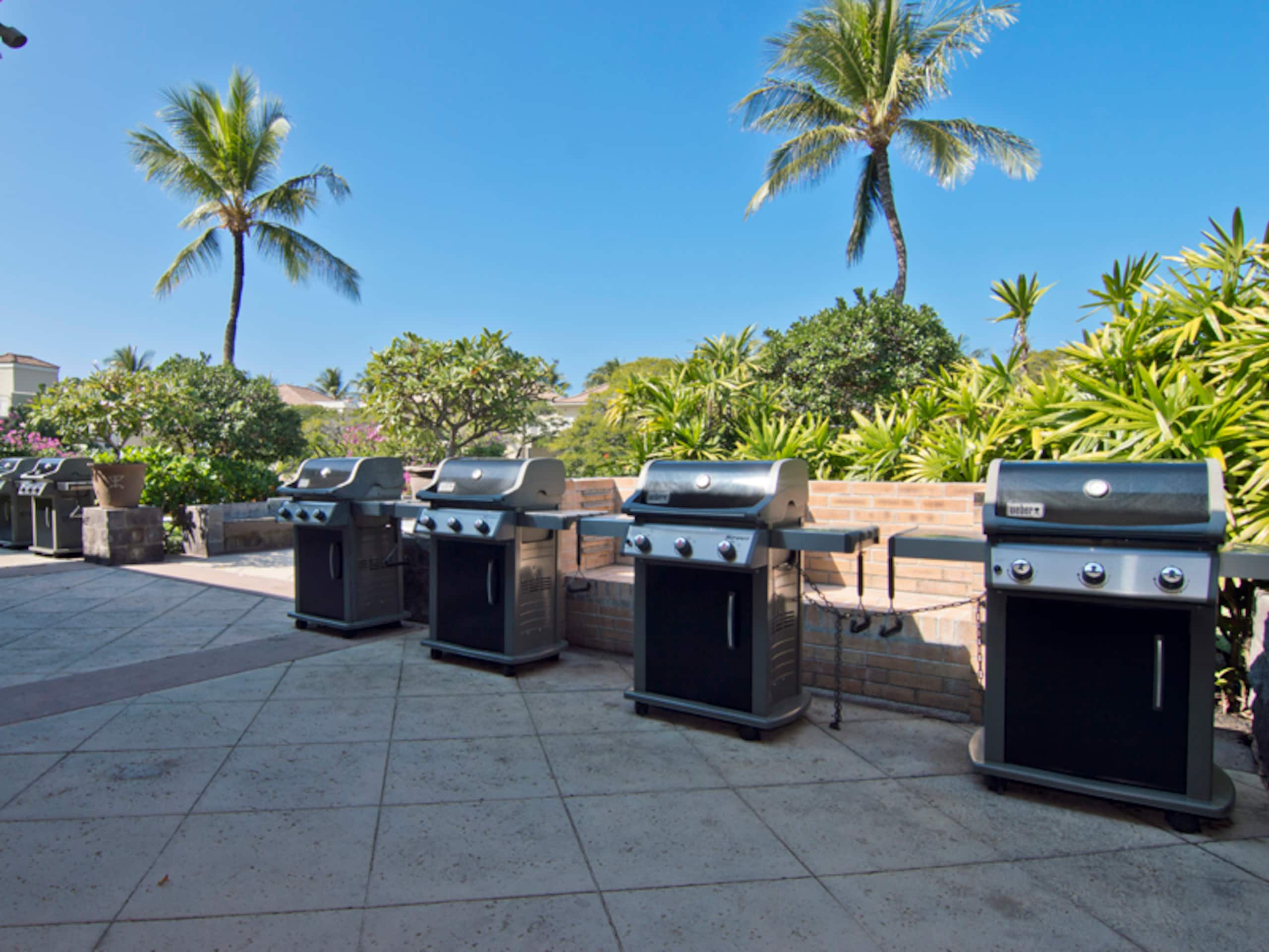 Includes Beach Gear D101 Vista Waikoloa - Photo 24