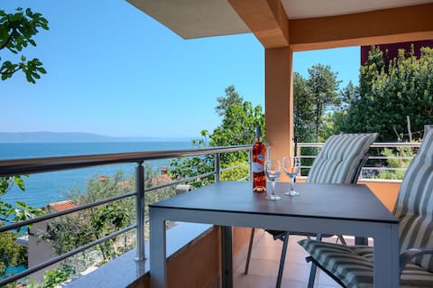 Seaside apartments with amazing ocean view - apart