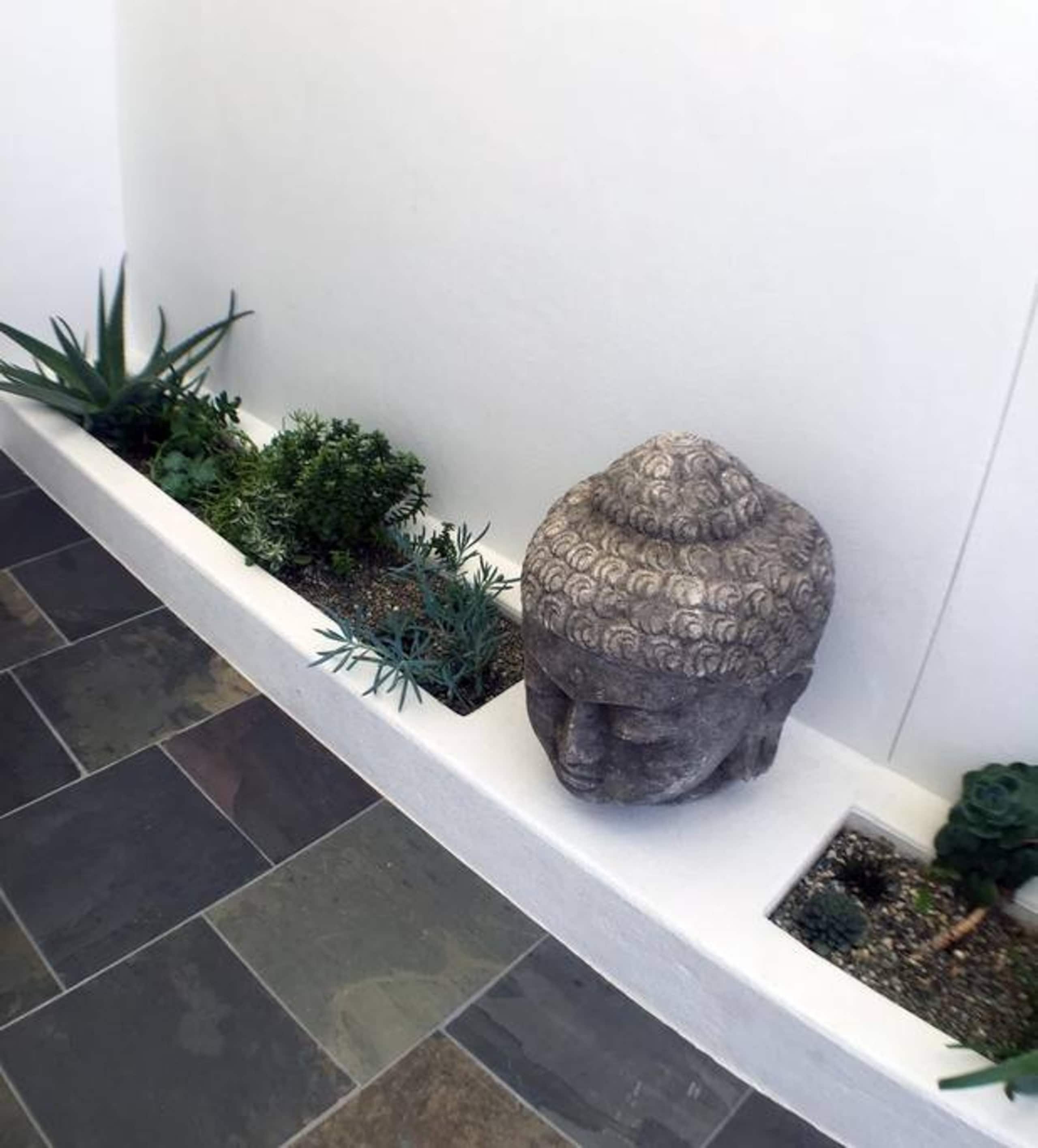 Home in San Francisco · ★4.88 · 3 bedrooms · 3 beds · 2.5 baths - Image 9