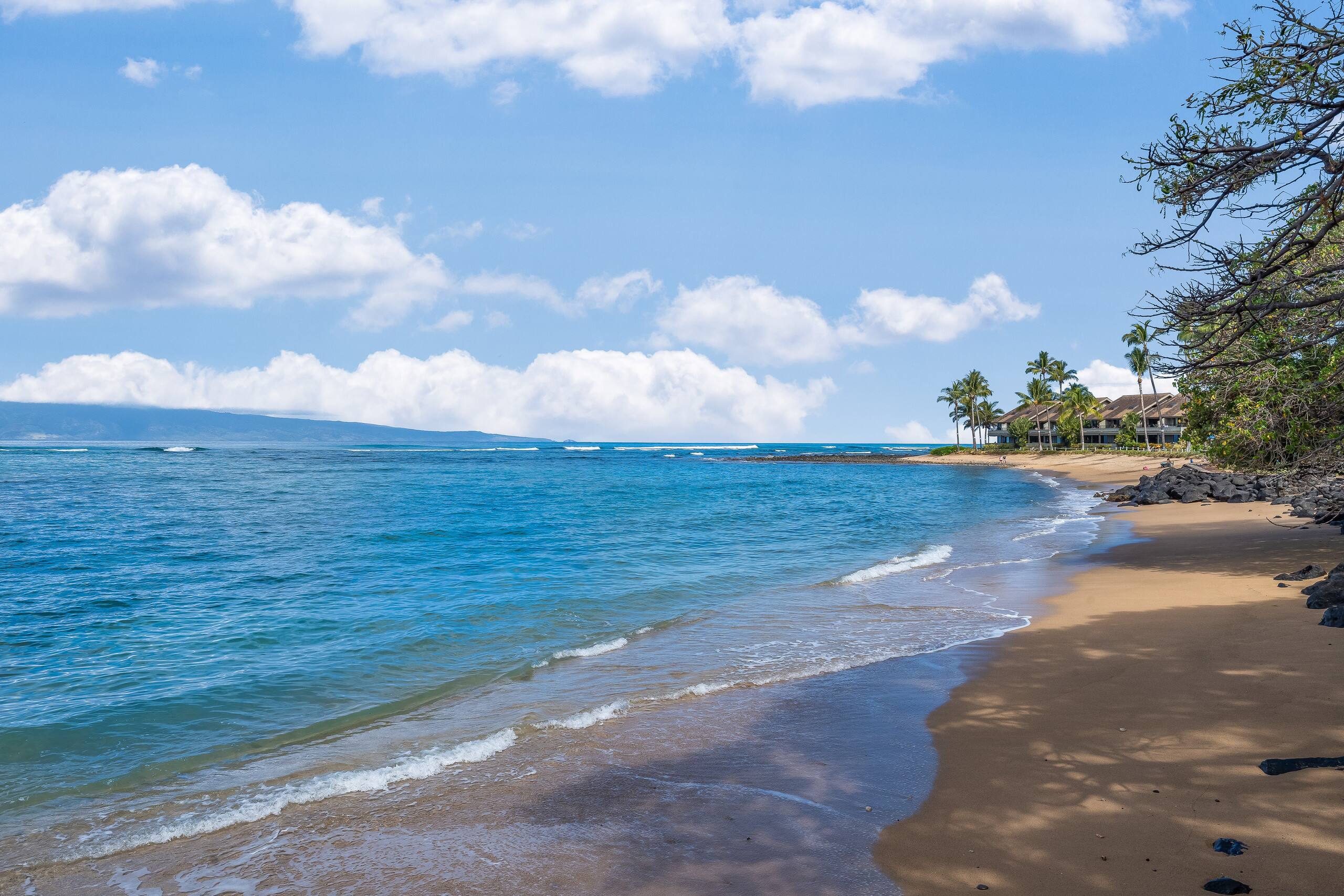 Condo in Lahaina · ★4.45 · 1 bedroom · 2 beds · 1 bath - Image 41