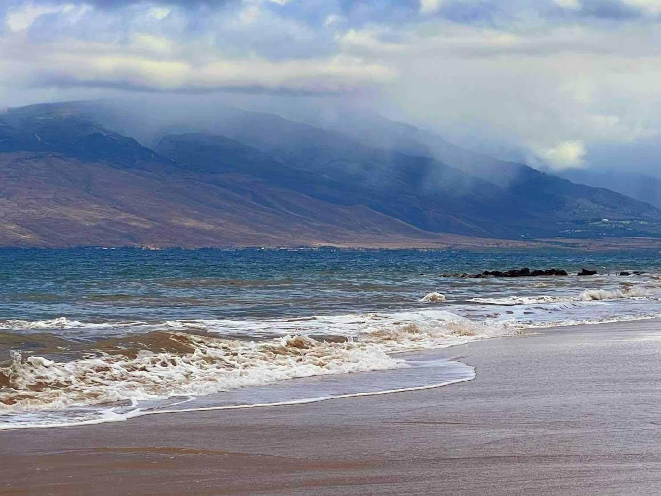 Condo in Kihei · ★4.92 · 1 bedroom · 1 bed · 1 private bath - Image 35