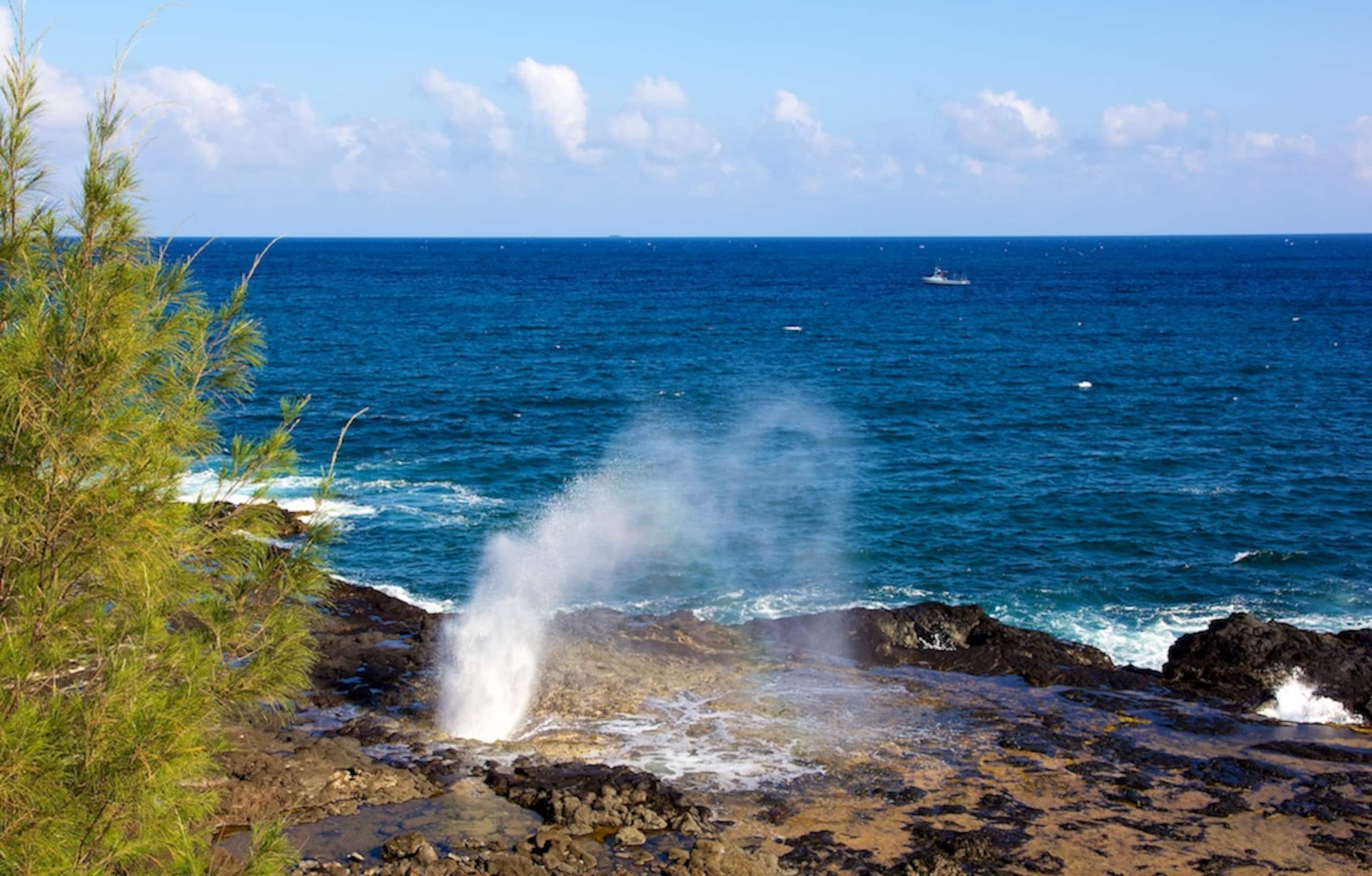 Home in Koloa · ★4.61 · 3 bedrooms · 4 beds · 2.5 baths - Image 41